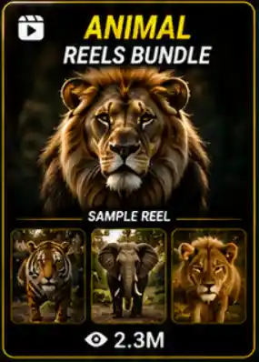 Animals Reels